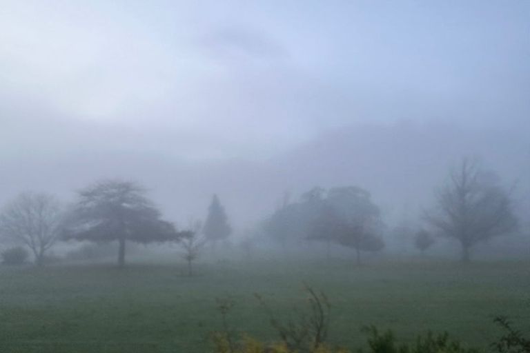 Photo of property in 22a Martin Place, Whakatane, 3120