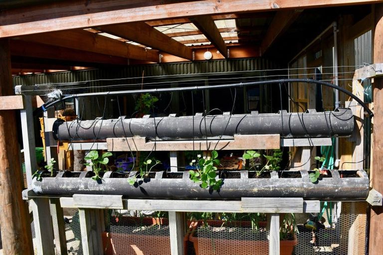 Photo of property in 91a Oparara Road, Karamea, 7893