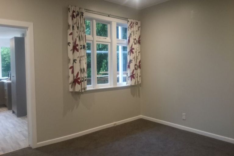 Photo of property in 41 Ohiro Road, Aro Valley, Wellington, 6021