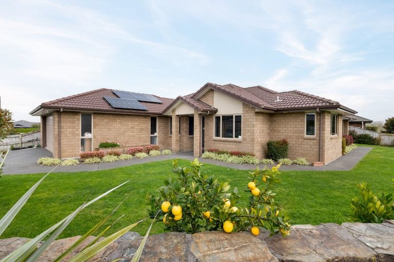 Photo of property in 21 Hartford Terrace, Huntington, Hamilton, 3210