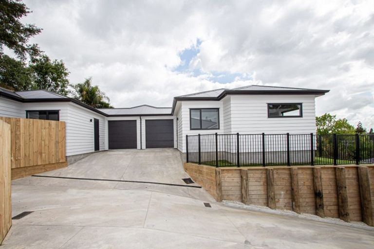Photo of property in 16u4 Rothwell Street, Dinsdale, Hamilton, 3204
