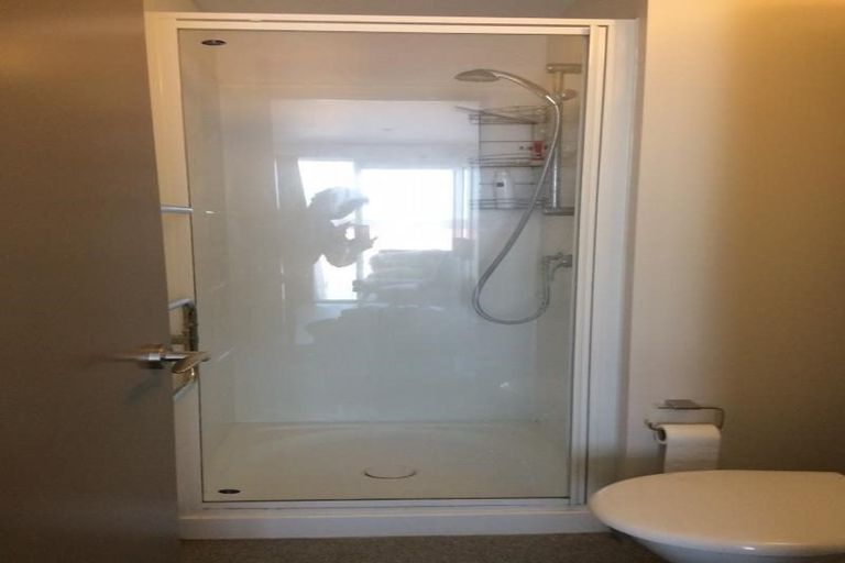 Photo of property in Dual Apartments, 108/142u Vivian Street, Te Aro, Wellington, 6011
