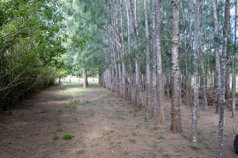 Photo of property in 3687 State Highway 12, Taheke, Kaikohe, 0473