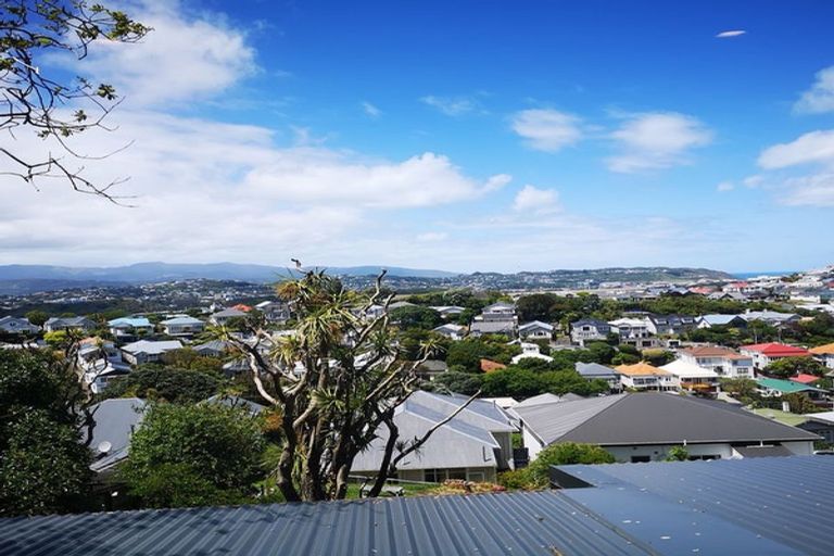 Photo of property in 93 Rakau Road, Hataitai, Wellington, 6021