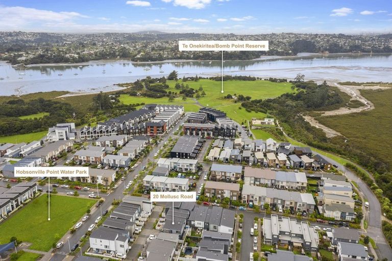 Photo of property in 20 Mollusc Road, Hobsonville, Auckland, 0616