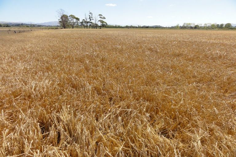 Photo of property in 62 Nonoti Road, Cheviot, 7383