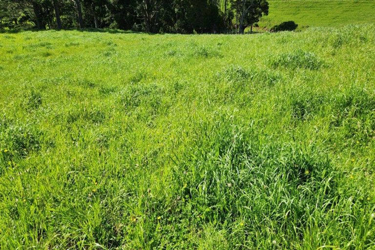 Photo of property in 133 Kaimata Road, Kaimata, Inglewood, 4390