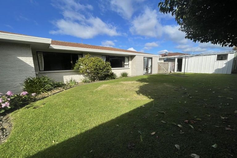 Photo of property in 227b Fifteenth Avenue, Tauranga South, Tauranga, 3112