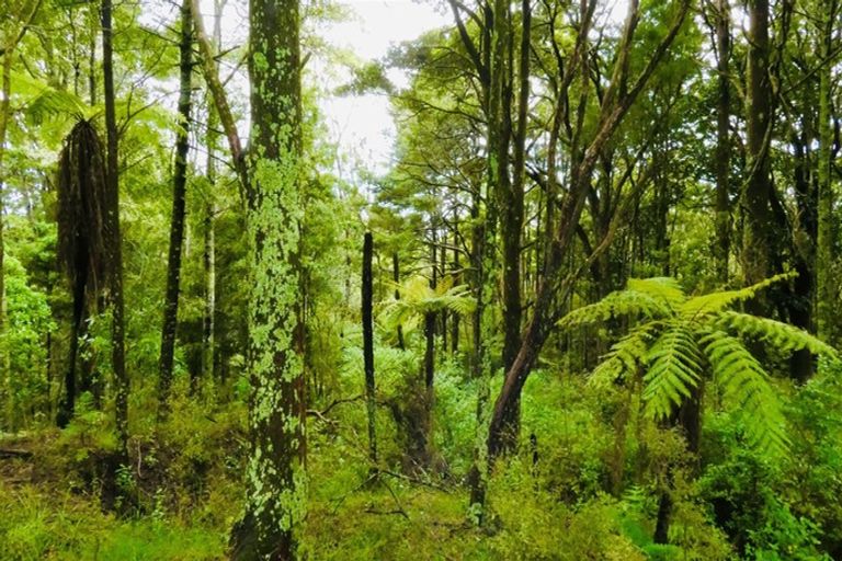 Photo of property in 567 Wharehine Road, Wharehine, Wellsford, 0973