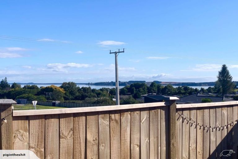 Photo of property in 91 Bert Wall Drive, Omokoroa, 3114