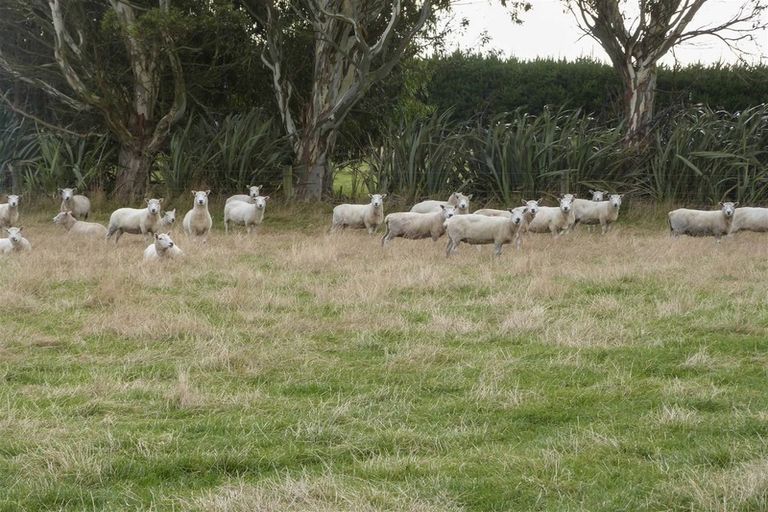 Photo of property in 339 Oteramika Road, Seaward Bush, Invercargill, 9871