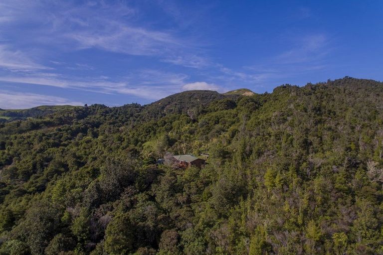 Photo of property in 595 Rangihau Road, Coroglen, Whitianga, 3591