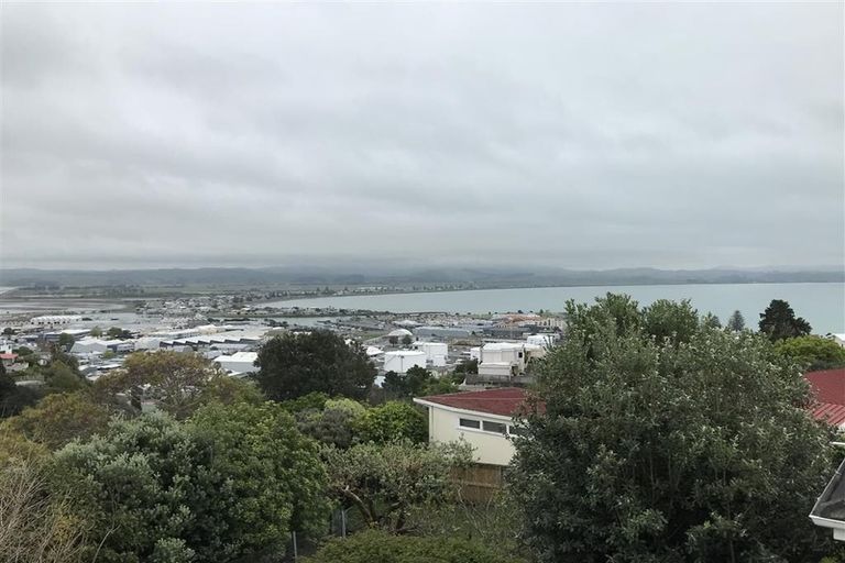 Photo of property in 14 Coleman Terrace, Hospital Hill, Napier, 4110