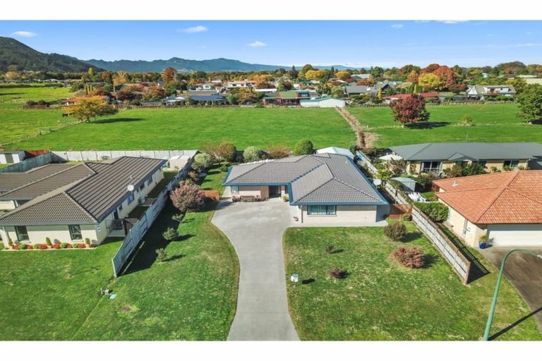 Photo of property in 22 Vogel Place, Te Aroha, 3320