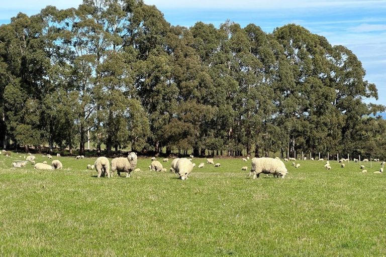 Photo of property in 856 Allanton-waihola Road, Allanton, Mosgiel, 9092