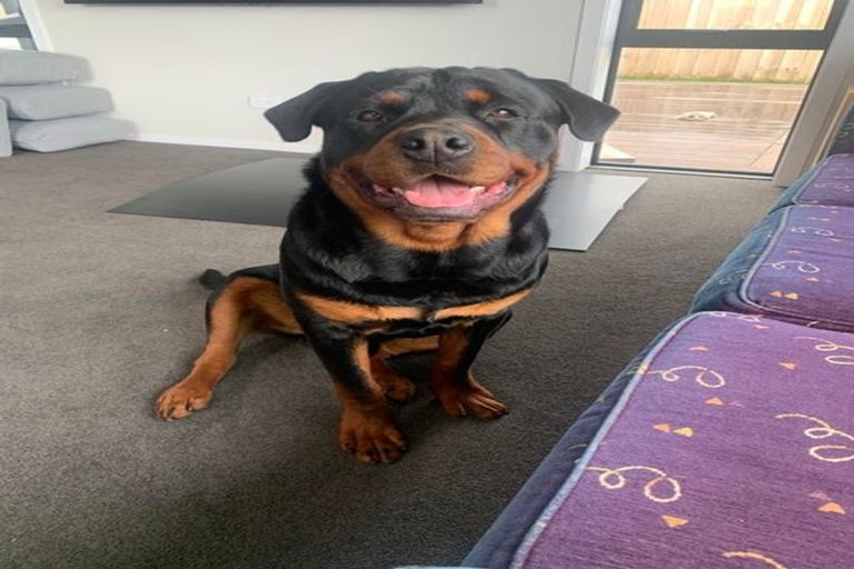 Photo of property in 4/183 Saddle Terrace, Te Awamutu, 3800