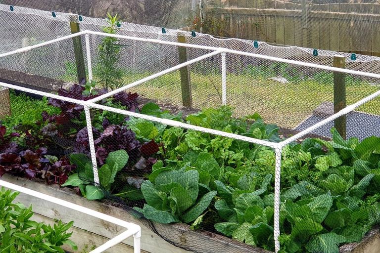 Photo of property in 17 Harbour Lights Terrace, Whitianga, 3592