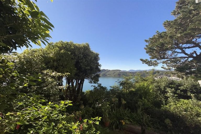Photo of property in 12 Te Anau Avenue, Hataitai, Wellington, 6021