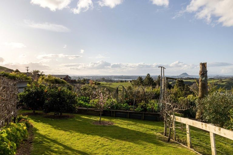 Photo of property in 393 Upper Ohauiti Road, Ohauiti, Tauranga, 3173