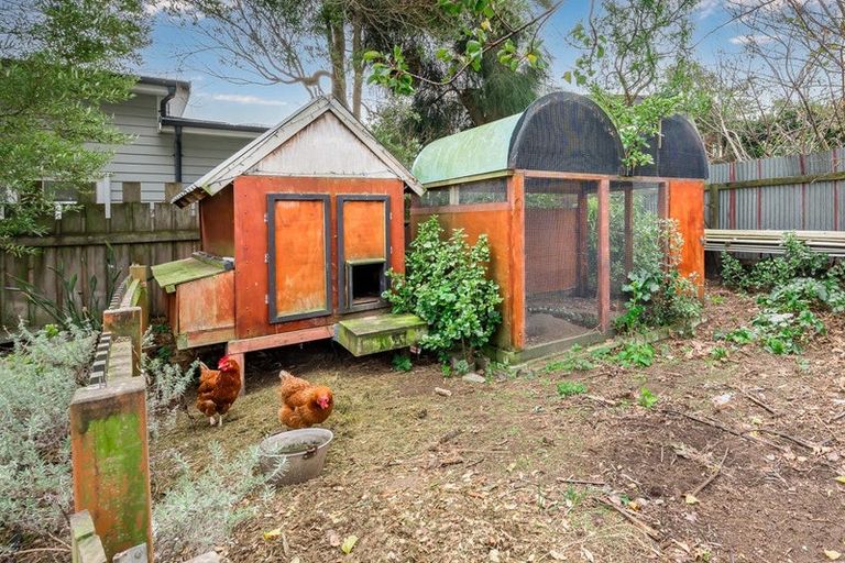 Photo of property in 17 Winton Street, Paraparaumu Beach, Paraparaumu, 5032