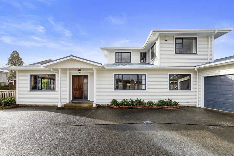Photo of property in 69a Pretoria Street, Hutt Central, Lower Hutt, 5010