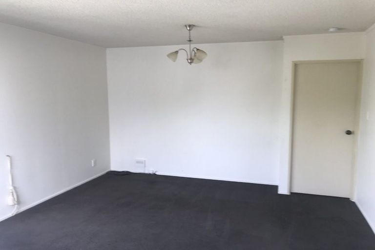 Photo of property in 8c Claude Street, Fairfield, Hamilton, 3214