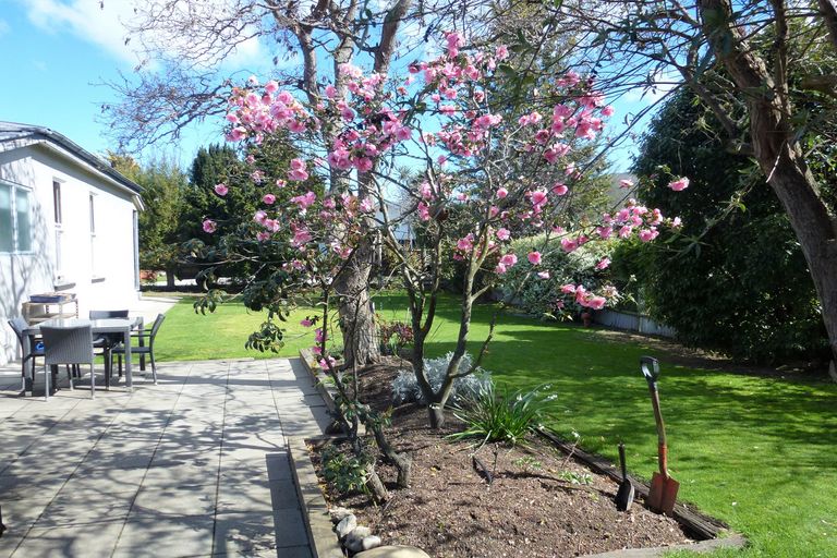 Photo of property in 79 Hazlett Street, Clyde, 9330