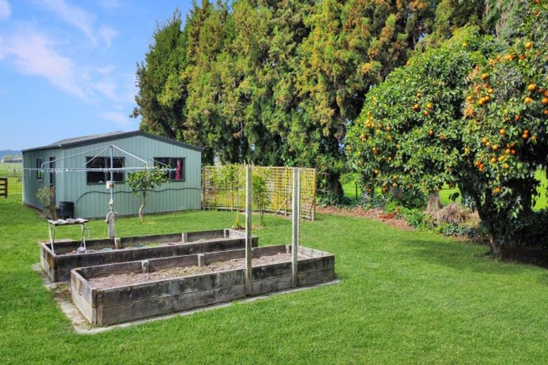 Photo of property in 237 Thornton Road, Thornton, Whakatane, 3194