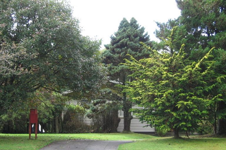 Photo of property in 67 Kauri Street, Tokoroa, 3420