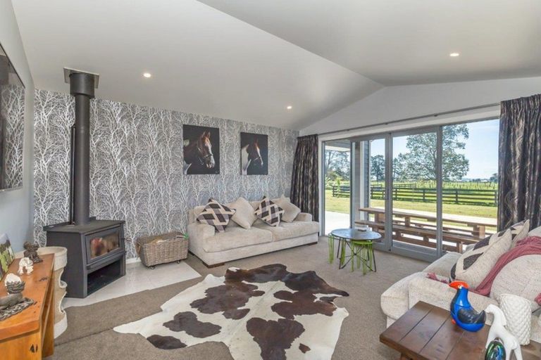 Photo of property in 441 Tararua Road, Levin, 5571