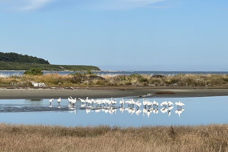 Photo of property in 2 Dawick Street, Foxton Beach, Foxton, 4815