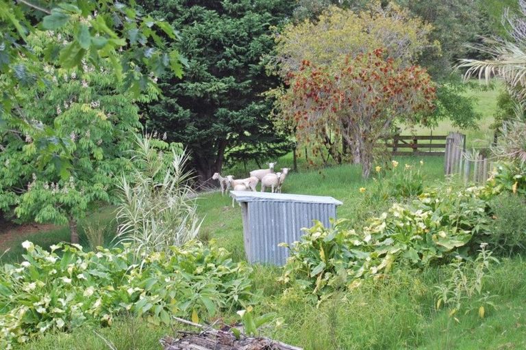 Photo of property in 461 Pahi Road, Pahi, Paparoa, 0571