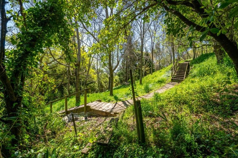 Photo of property in 26 Allan Street, Nelson South, Nelson, 7010
