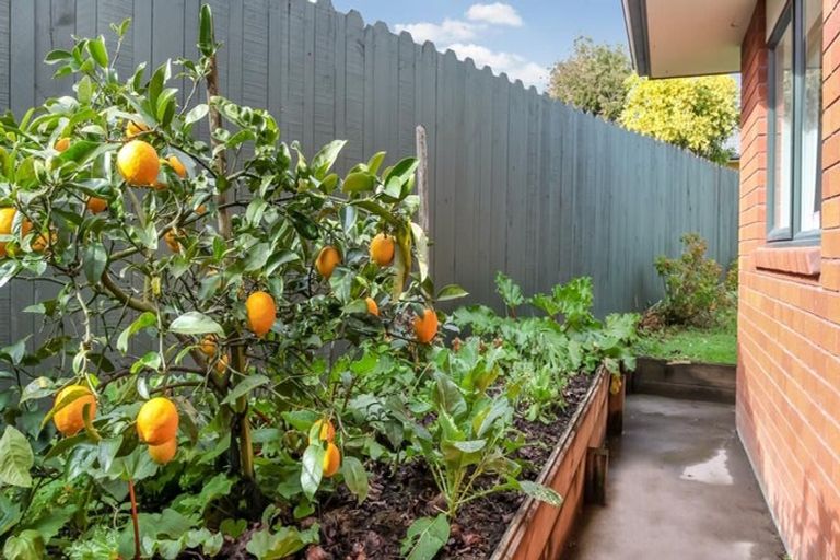 Photo of property in 4 Emmerdale Avenue, Papakura, 2110