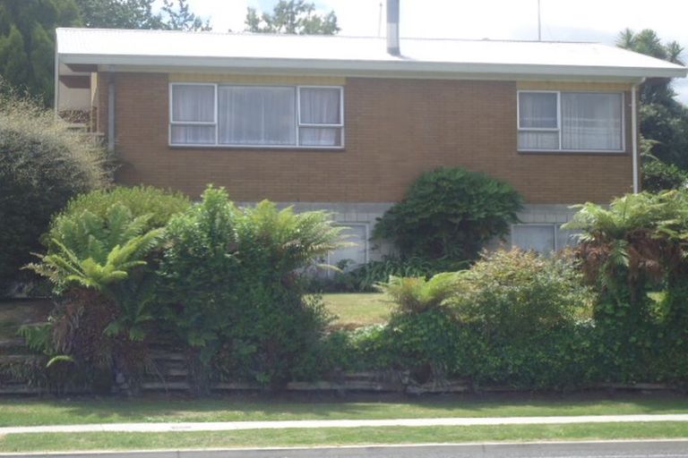 Photo of property in 111 Arapuni Street, Putaruru, 3411