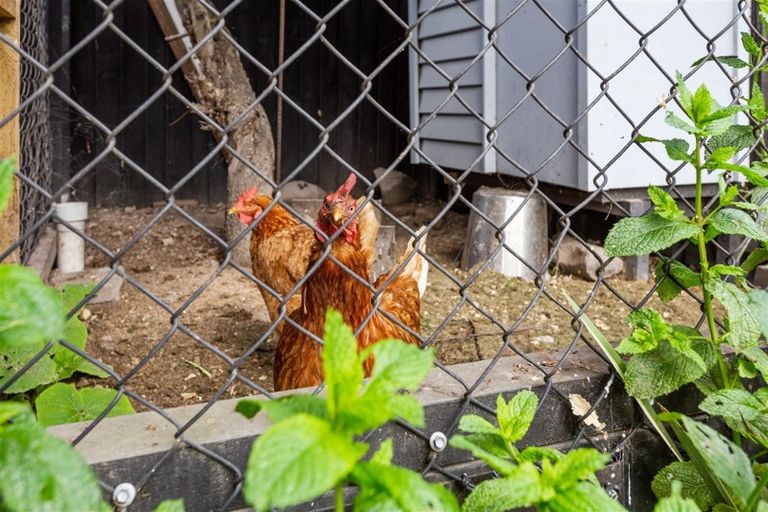 Photo of property in 33 Cridland Street East, Kaiapoi, 7630