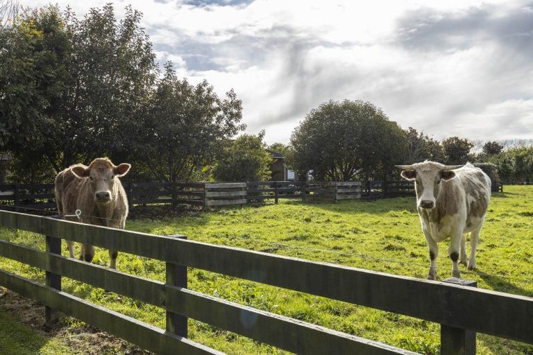 Photo of property in 1230 Egmont Road, Egmont Village, New Plymouth, 4372