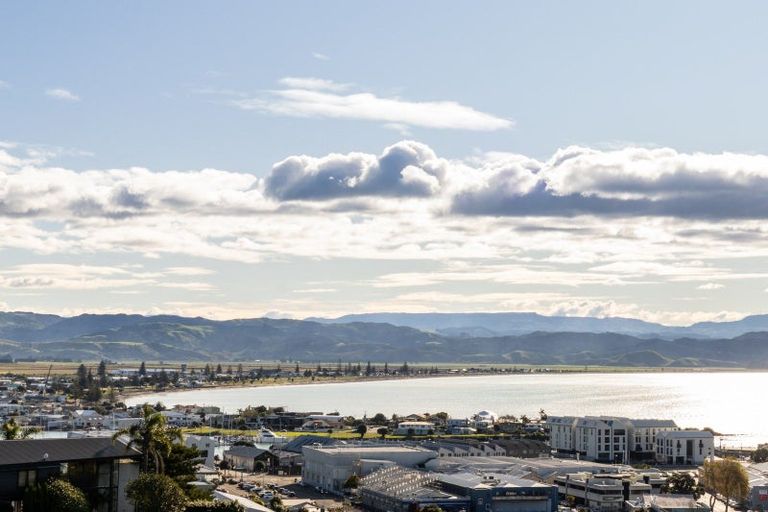 Photo of property in 21 Denholm Road, Hospital Hill, Napier, 4110