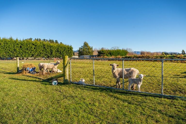 Photo of property in 14 Bathgates Road, Waimate, 7980