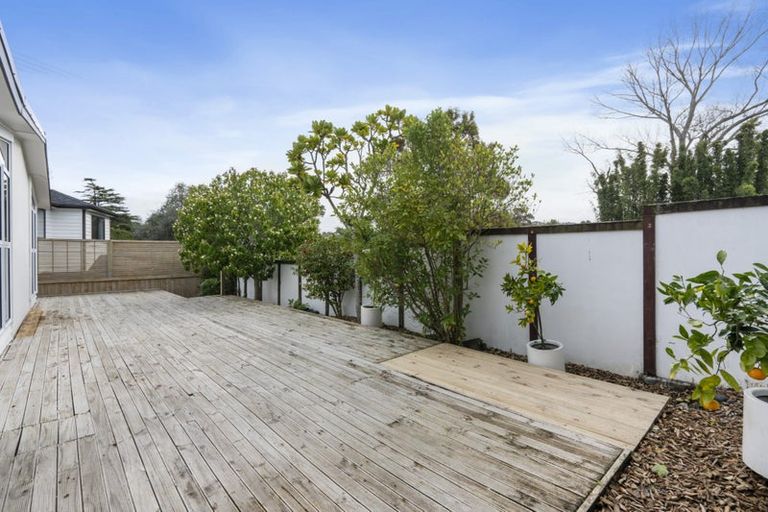 Photo of property in 25 Marsh Avenue, Forrest Hill, Auckland, 0620