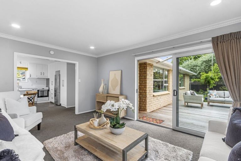 Photo of property in 41 Sandwich Road, Beckenham, Christchurch, 8023