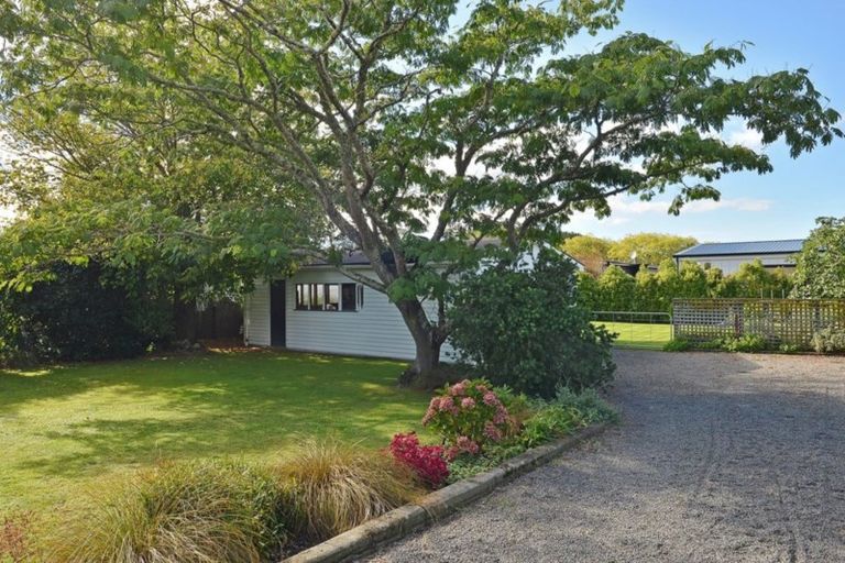 Photo of property in 8 Udy Street, Greytown, 5712