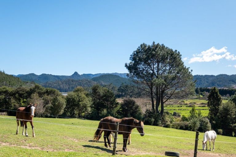 Photo of property in 896a Hikuai Settlement Road, Pauanui, Hikuai, 3579