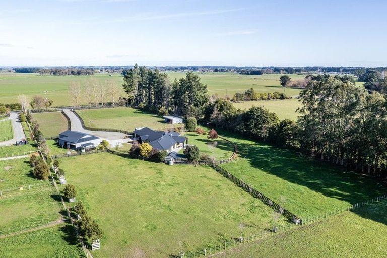 Photo of property in 255 Calico Line, Marton, 4787