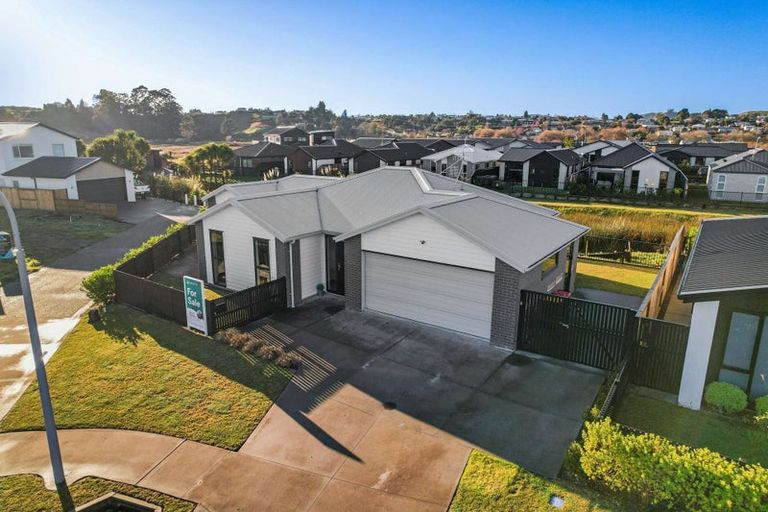 Photo of property in 42 Hinaki Street, Poike, Tauranga, 3112