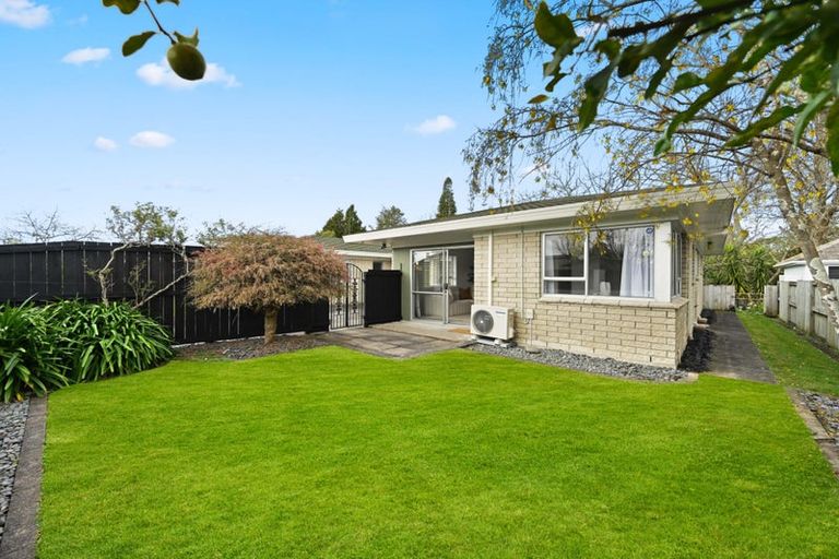Photo of property in 49 Rimu Street, Maeroa, Hamilton, 3200