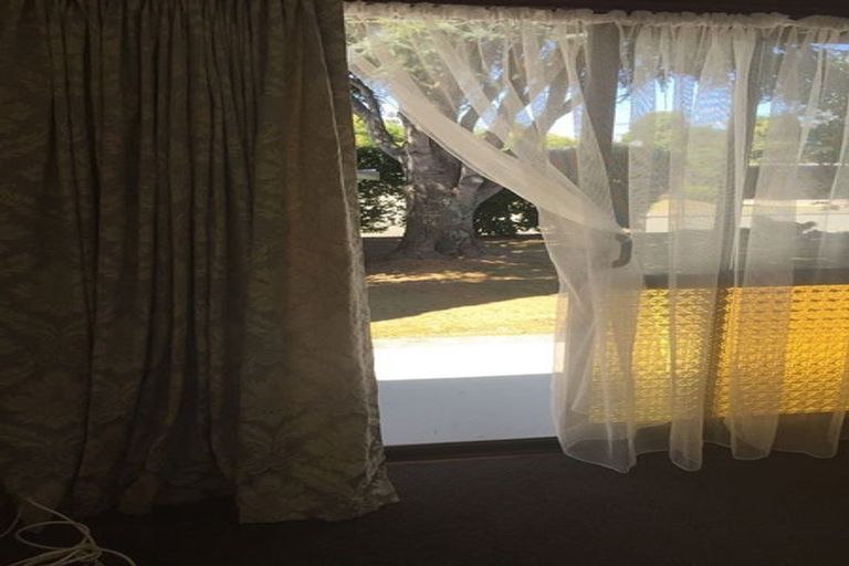 Photo of property in 5 Salisbury Avenue, Terrace End, Palmerston North, 4410