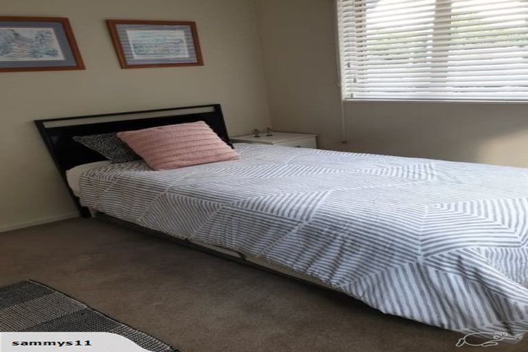Photo of property in 11 Starlight Cove, Hobsonville, Auckland, 0618