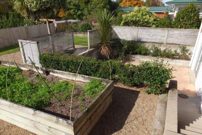 Photo of property in 54 Carlyle Avenue, Chartwell, Hamilton, 3210