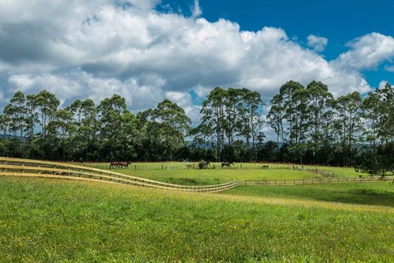 Photo of property in 5 Diamond Lane, Riverhead, 0793